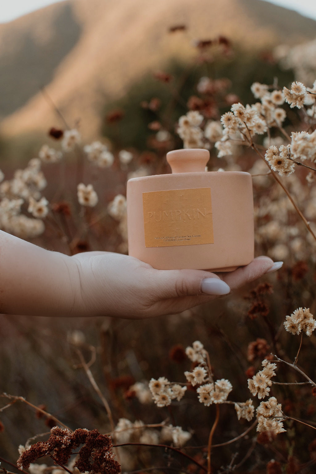 Pumpkin Concrete Luxury Jar Candle