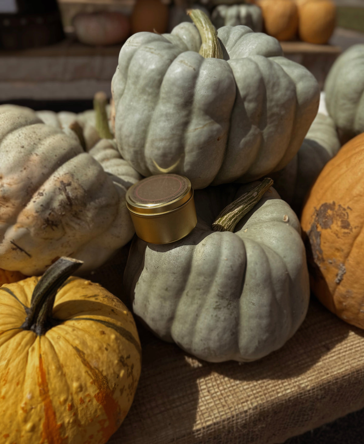 Pumpkin Travel Candle • Limited Presale
